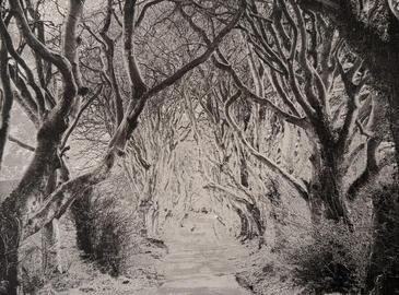 Dark Edges, Northern Ireland Charcoil print © Etienne Pierart